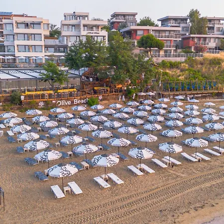 Olive Созополь