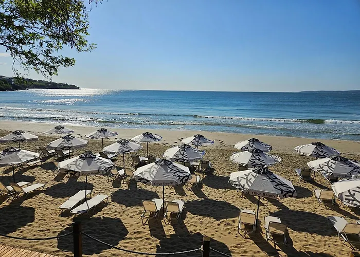 Olive Hotel 5*