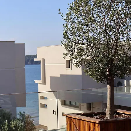 Hotel Olive