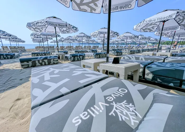 Olive ホテル ソゾポル